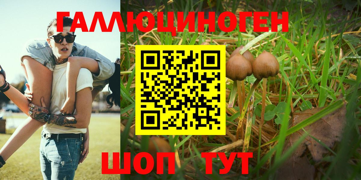 Псилоцибиновые грибы мицелий Качканар
