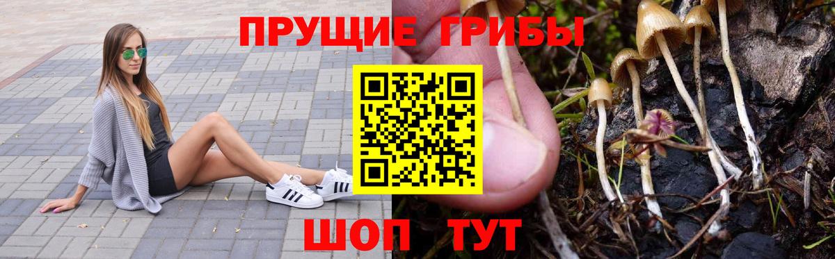 Псилоцибиновые грибы мухоморы  Вход с VPN  Качканар  Псилоцибиновые грибы Cubensis 